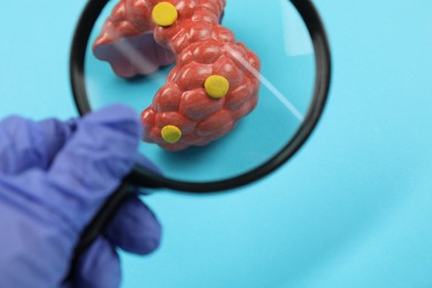 Photo of Endocrinologist looking at model of thyroid gland through magnifying glass on light blue background, closeup