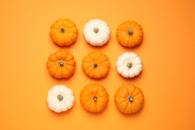 Photo of Different ripe pumpkins on orange background, flat lay