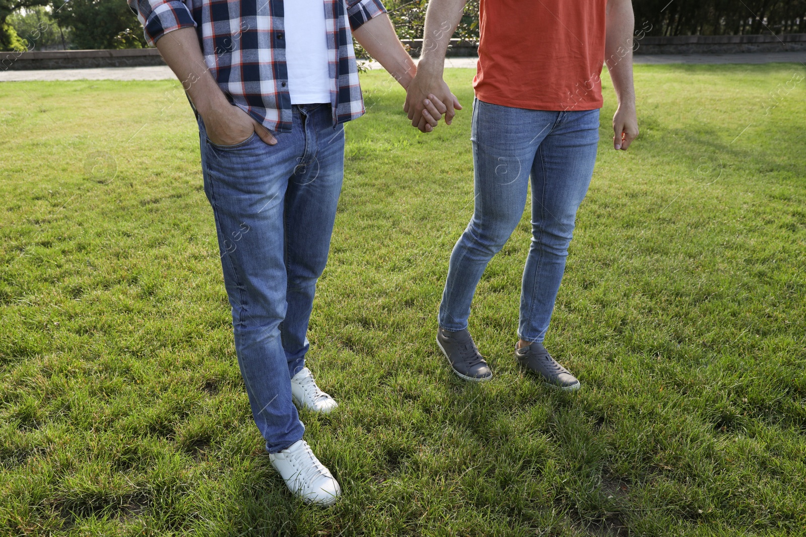 Photo of Gay couple walking in park on sunny day, closeup