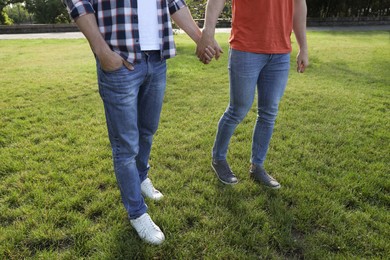 Photo of Gay couple walking in park on sunny day, closeup