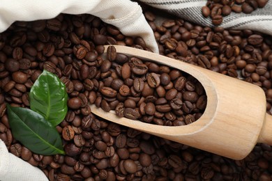 Wooden scoop, leaves and bag on roasted coffee beans, closeup