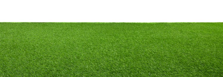 Photo of Green artificial grass surface isolated on white