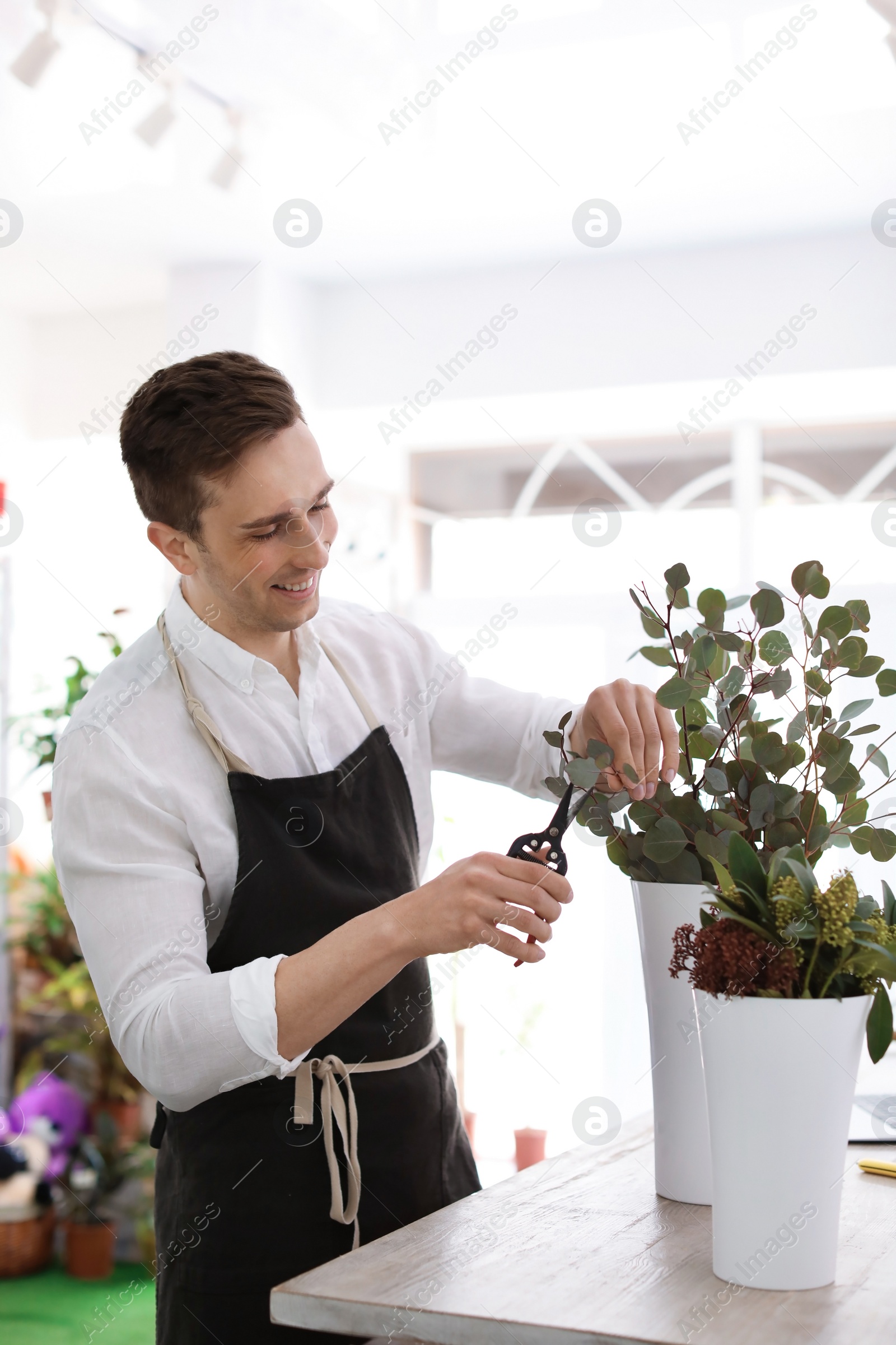 Photo of Male florist making beautiful bouquet in flower shop