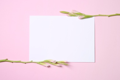 Photo of Gladiolus stems with blank card on color background, top view