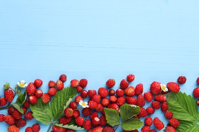 Fresh wild strawberries, flowers and leaves on light blue wooden table, flat lay. Space for text