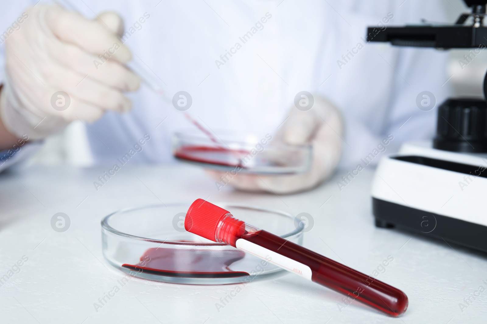 Photo of Scientist working in laboratory, focus on test tube and Petri dish with blood samples. Virus research