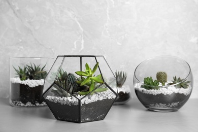 Photo of Glass florariums with different succulents on table against grey background, space for text