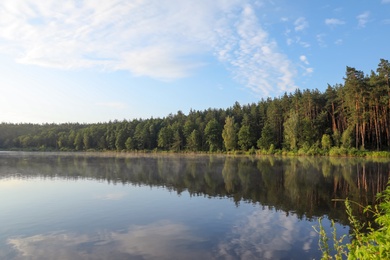 Photo of Beautiful landscape with forest near lake. Camping season
