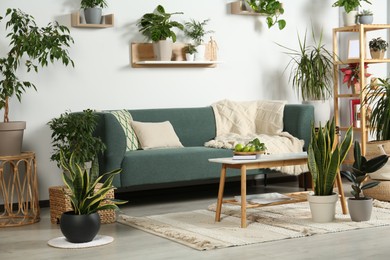 Photo of Stylish living room interior with cozy sofa and plants