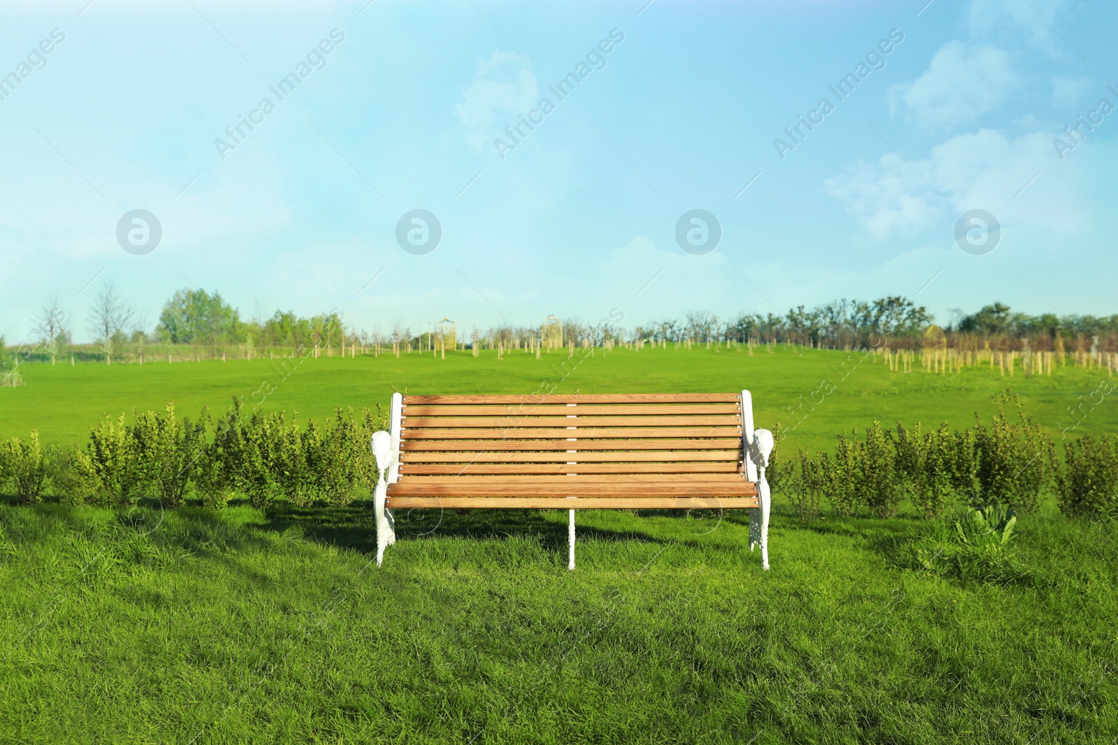 Photo of Beautiful park with green lawn and wooden bench on sunny day