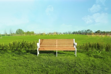 Photo of Beautiful park with green lawn and wooden bench on sunny day