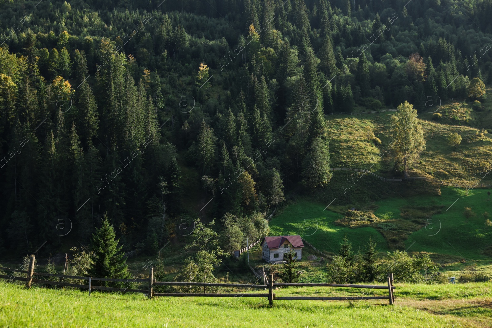 Photo of Beautiful view of wooden house near mountain forest