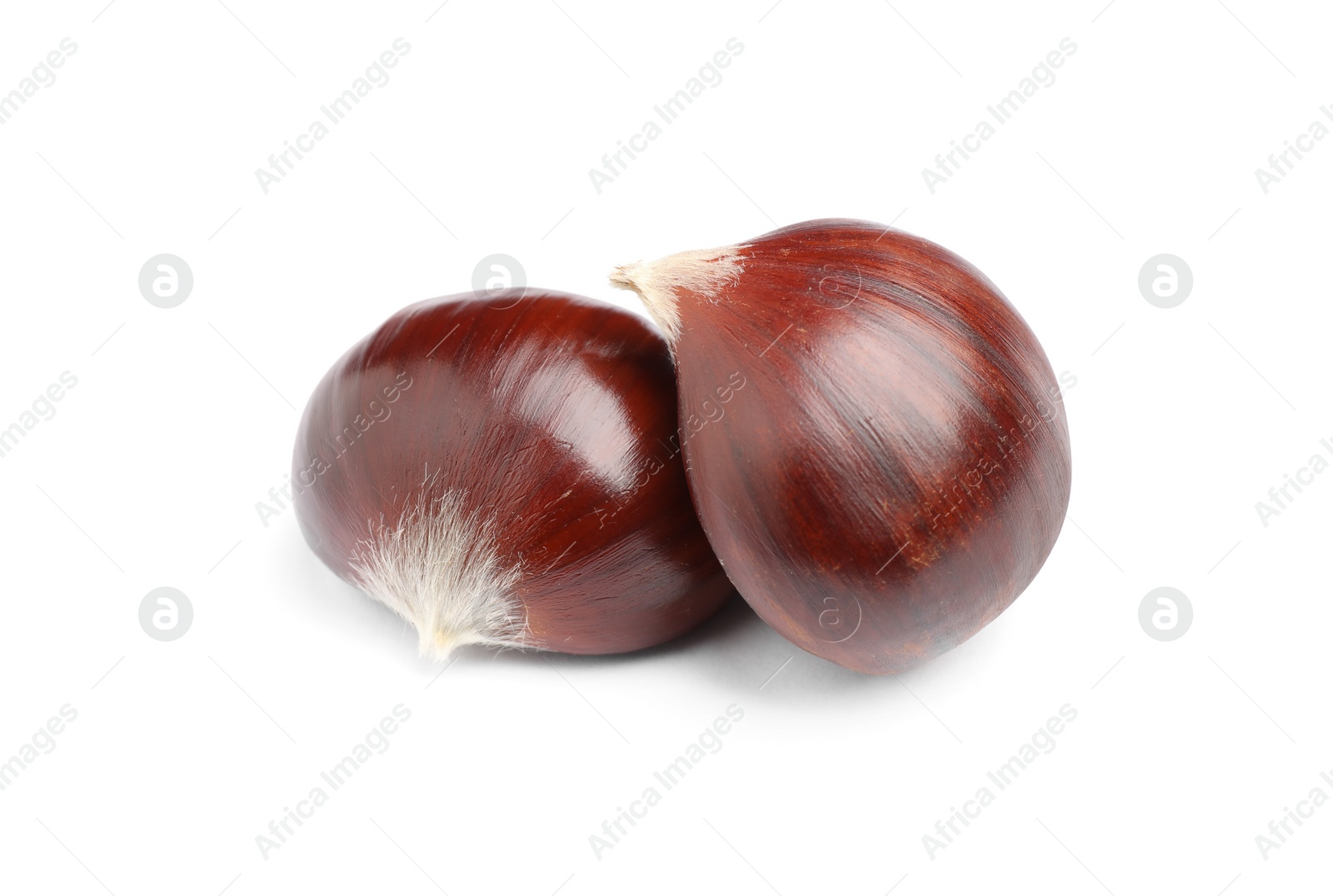 Photo of Fresh sweet edible chestnuts on white background