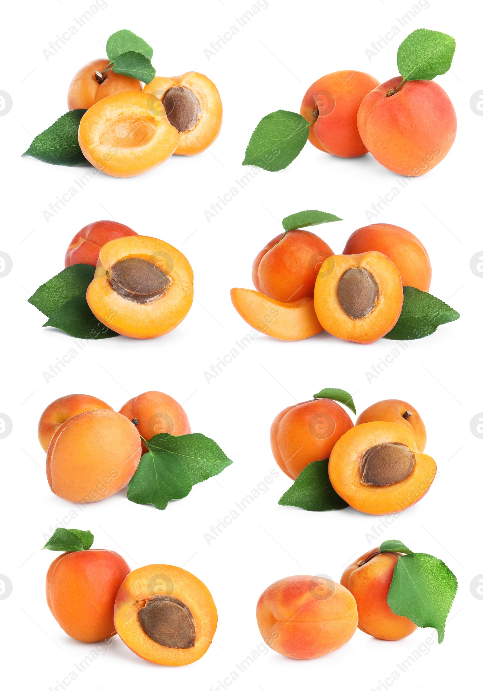 Image of Set of fresh apricots on white background