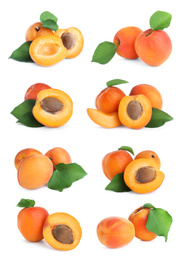 Image of Set of fresh apricots on white background