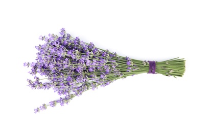 Beautiful tender lavender flowers on white background, top view