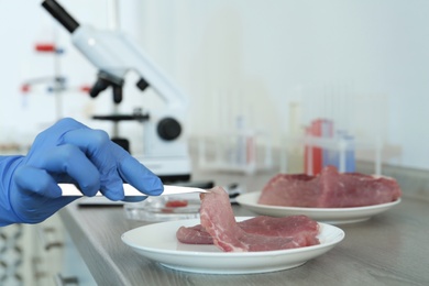 Photo of Scientist inspecting meat at table in laboratory, closeup. Food quality control