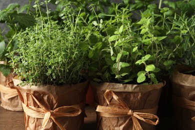 Different aromatic potted herbs on table, closeup