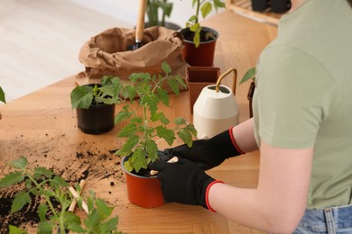 Woman planting seedling in pot at table indoors, closeup