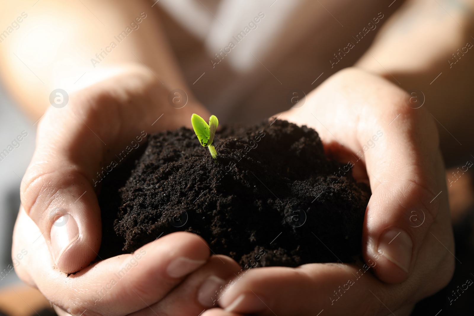 Photo of Woman holding soil with little green seedling, closeup