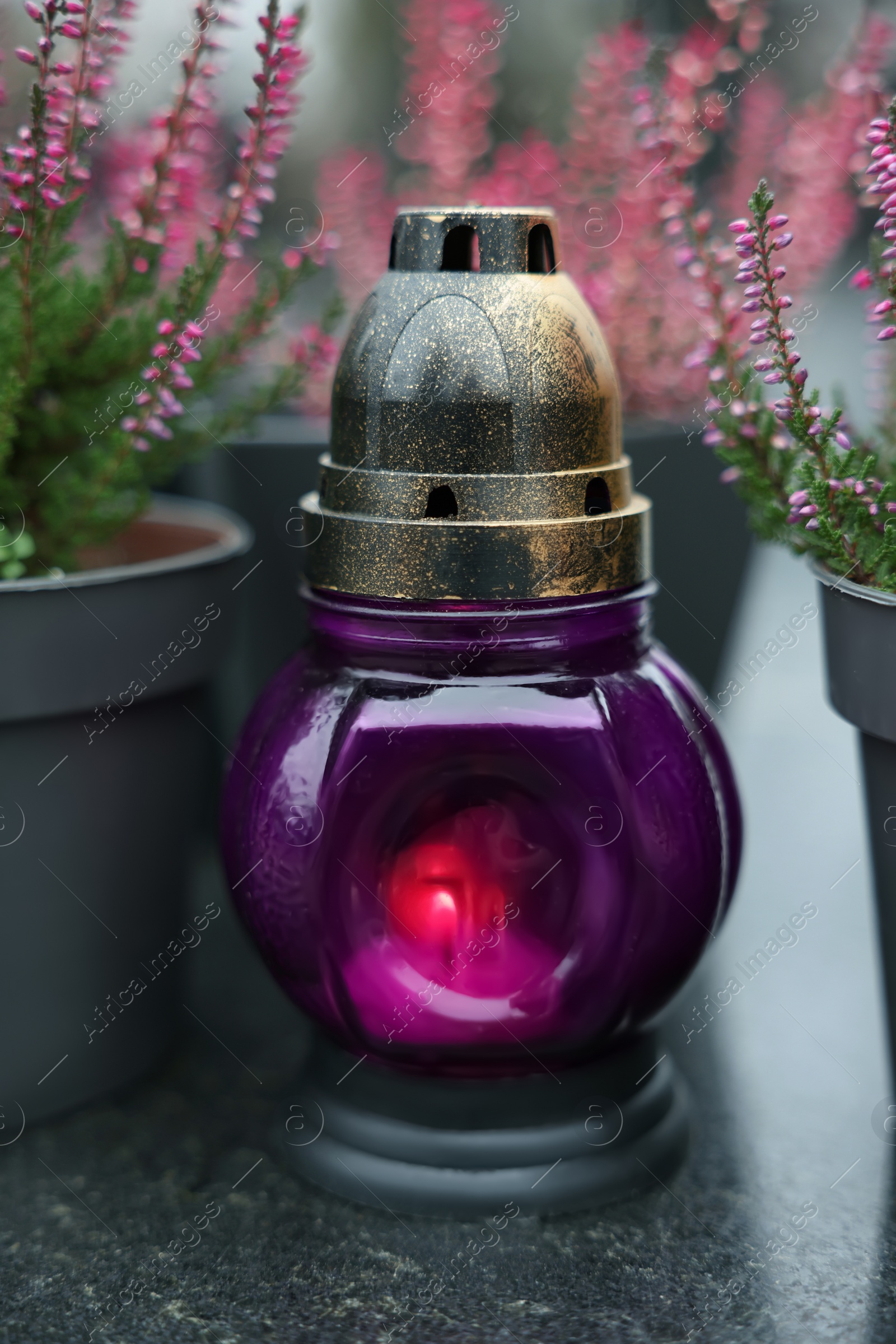 Photo of Grave light and potted heather on granite surface at cemetery, closeup