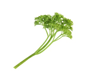 Photo of Fresh green organic parsley on white background