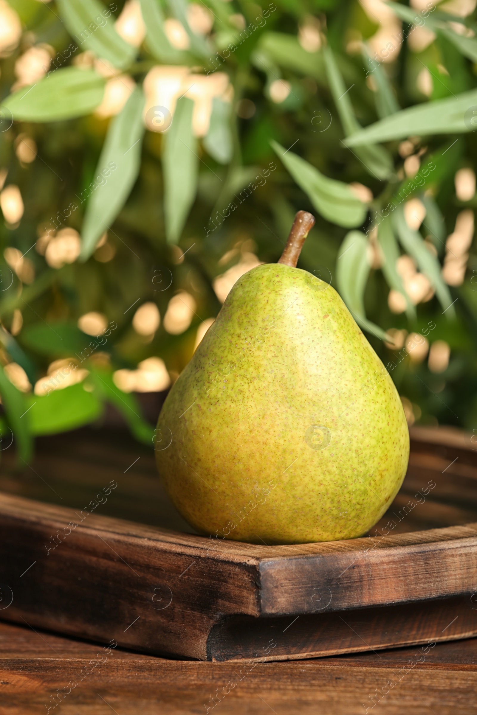 Photo of Fresh ripe pear on wooden board against blurred background