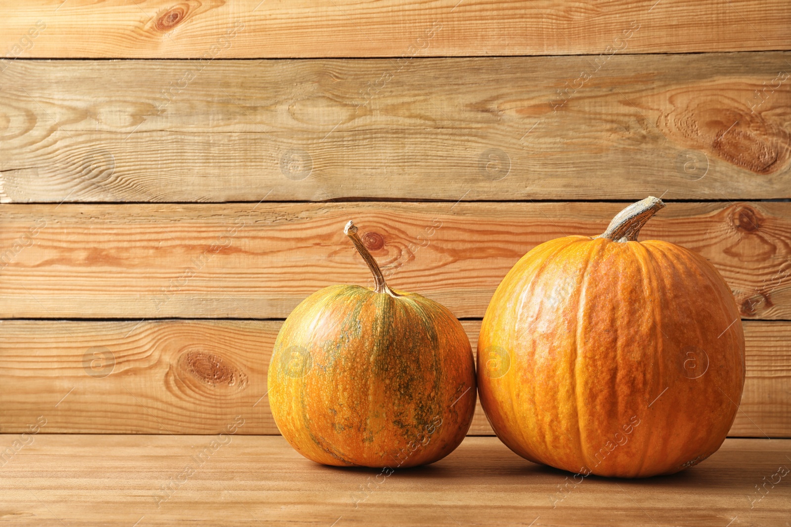 Photo of Orange pumpkins with space for text against wooden wall. Autumn holidays