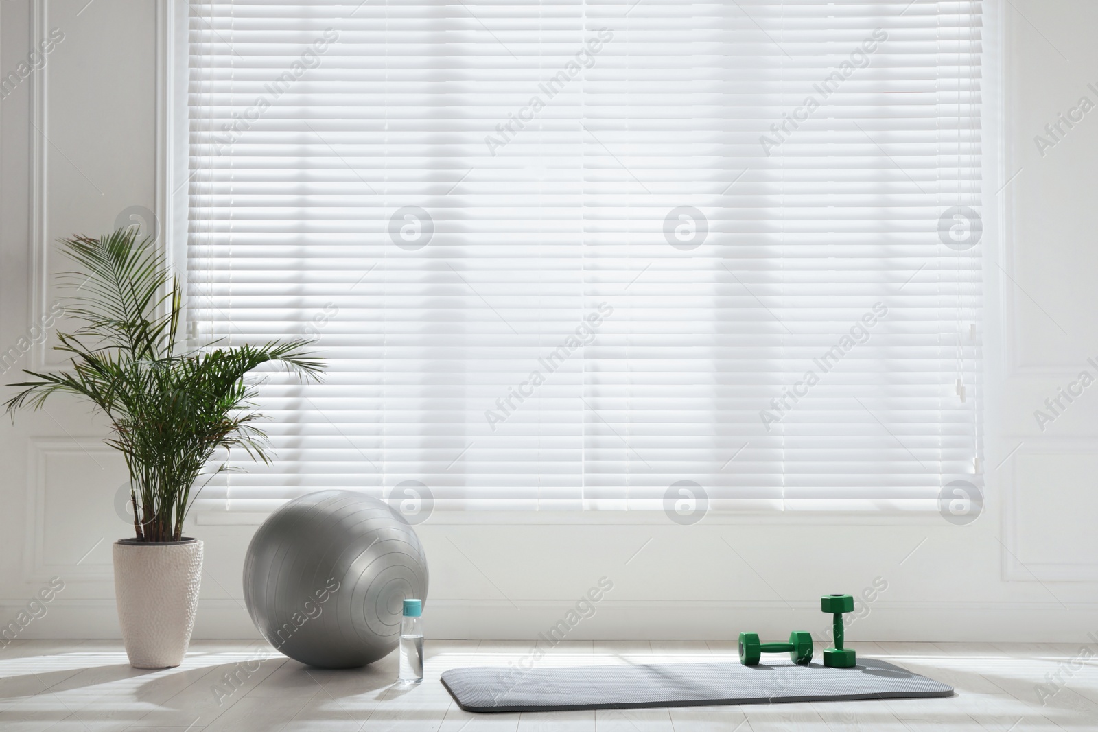 Photo of Exercise mat, dumbbells, fitness ball and houseplant near window in spacious room
