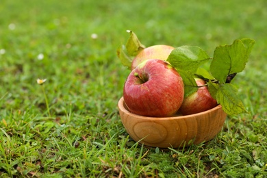 Dishware full of ripe apples on green grass. Space for text