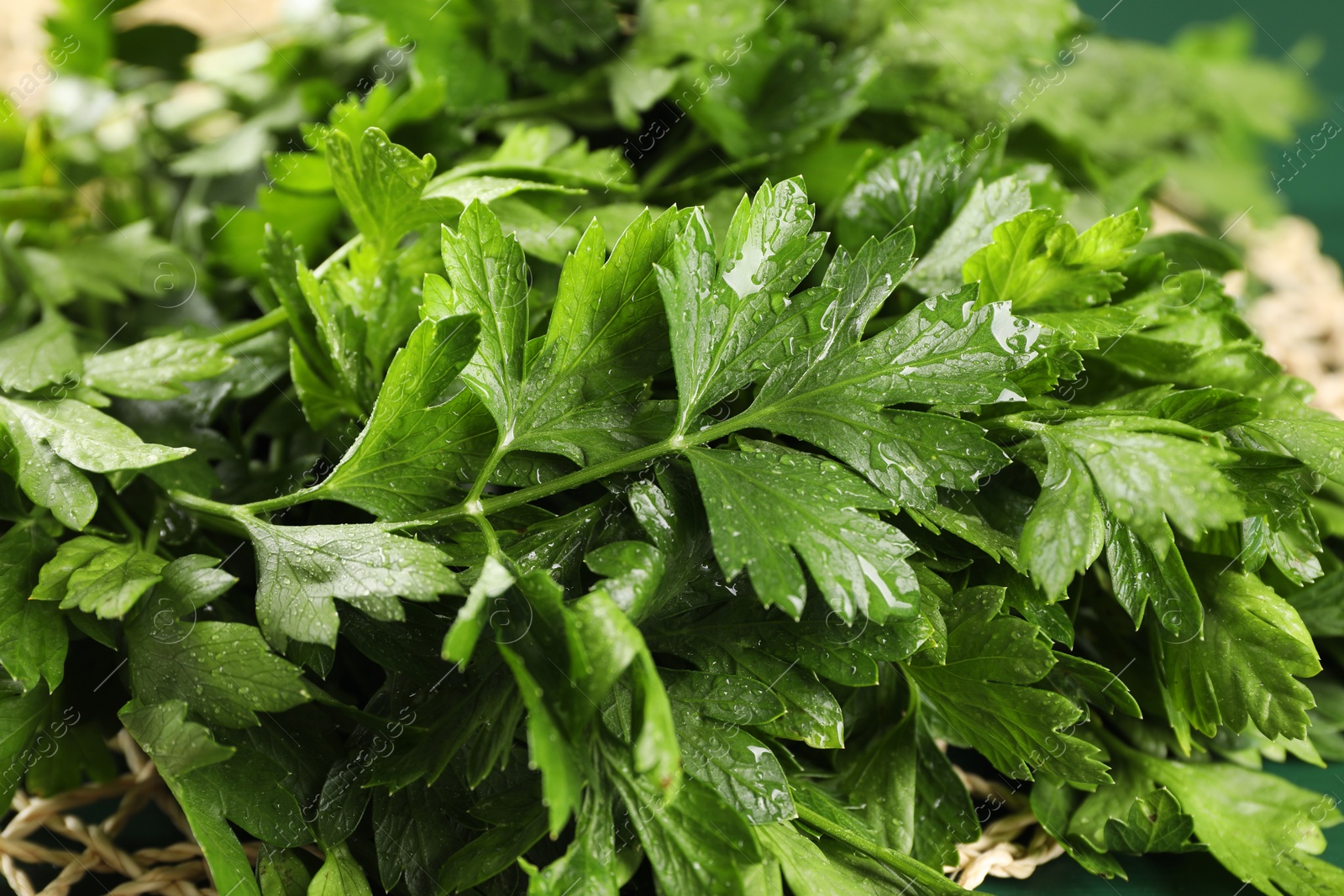 Photo of Fresh green parsley leaves with water drops, closeup