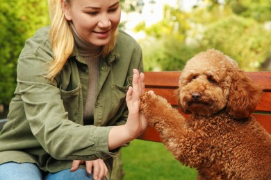 Photo of Cute dog giving high five to woman in park