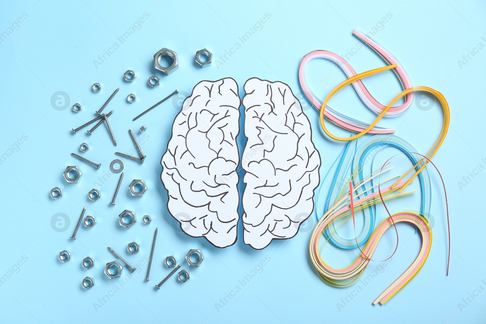 Photo of Creativity and logic. Paper brain on light blue background, flat lay. Screws with nuts near left hemisphere and quilling strips near right one