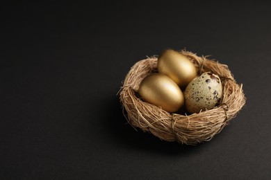 Photo of Golden and ordinary quail eggs in nest on black background, space for text