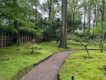 Bright moss, different plants and pathway in Japanese garden