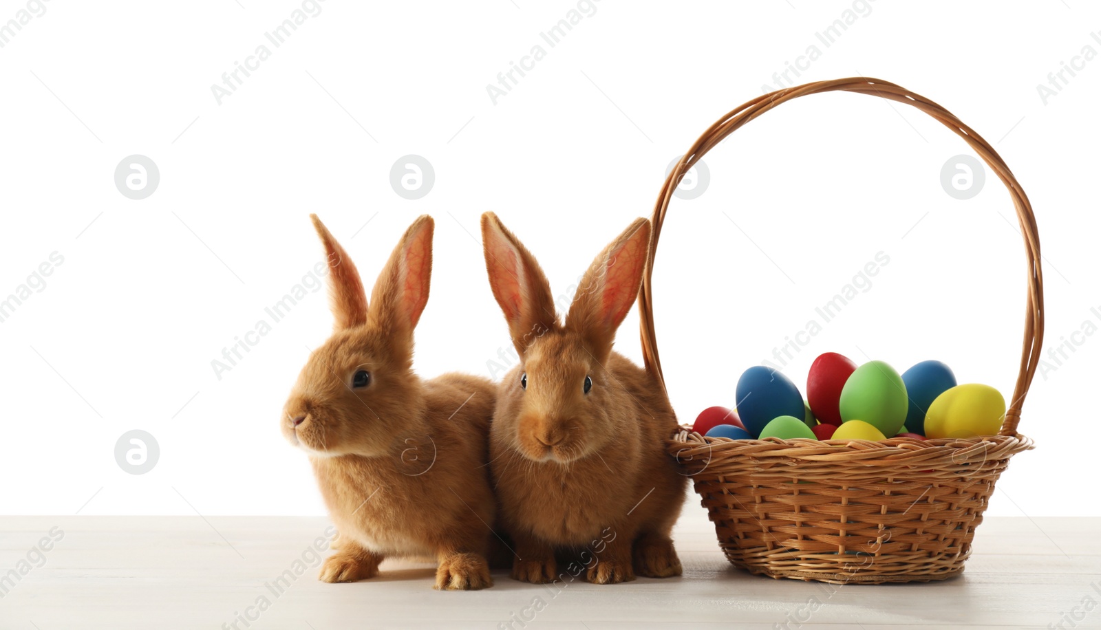 Photo of Cute bunnies and basket with Easter eggs on table against white background