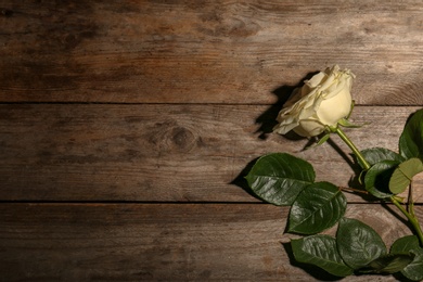 Photo of Beautiful white rose on wooden background, top view. Funeral symbol