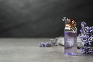 Bottle of essential oil and lavender flowers on grey stone table. Space for text
