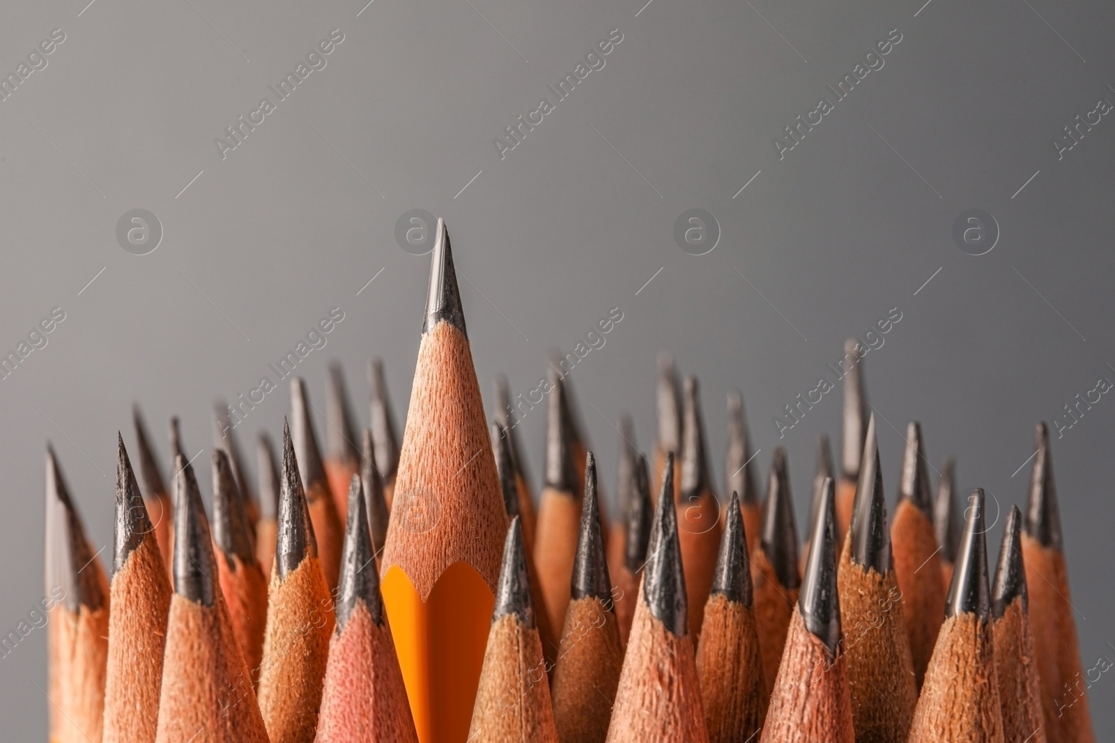 Photo of Many sharp graphite pencils on grey background, closeup. Space for text
