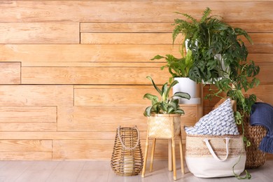 Photo of Different potted plants and decor in room near wooden wall