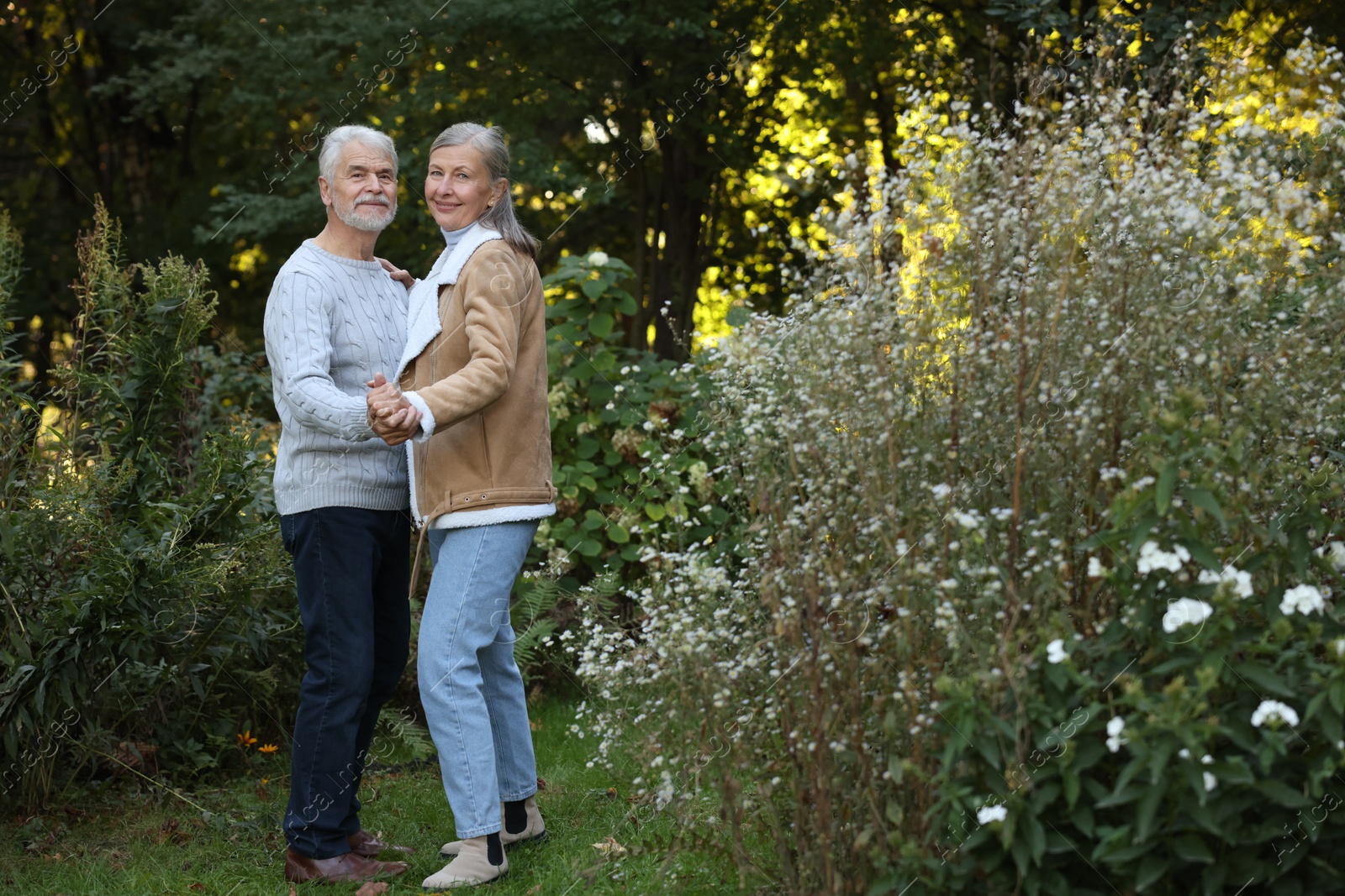 Photo of Affectionate senior couple dancing together in park, space for text