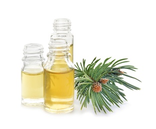 Different little bottles with essential oils and pine branch on white background