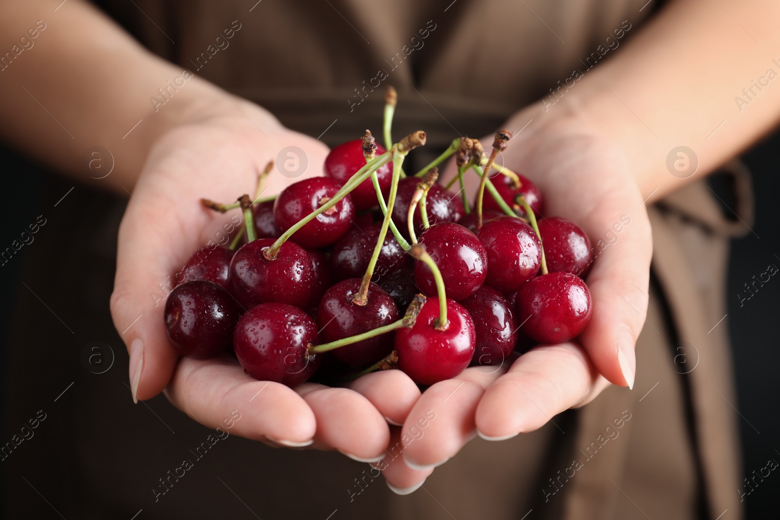 Photo of Woman holding sweet juicy cherries, closeup view