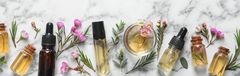 Photo of Flat lay composition with bottles of natural tea tree oil and space for text on white marble background