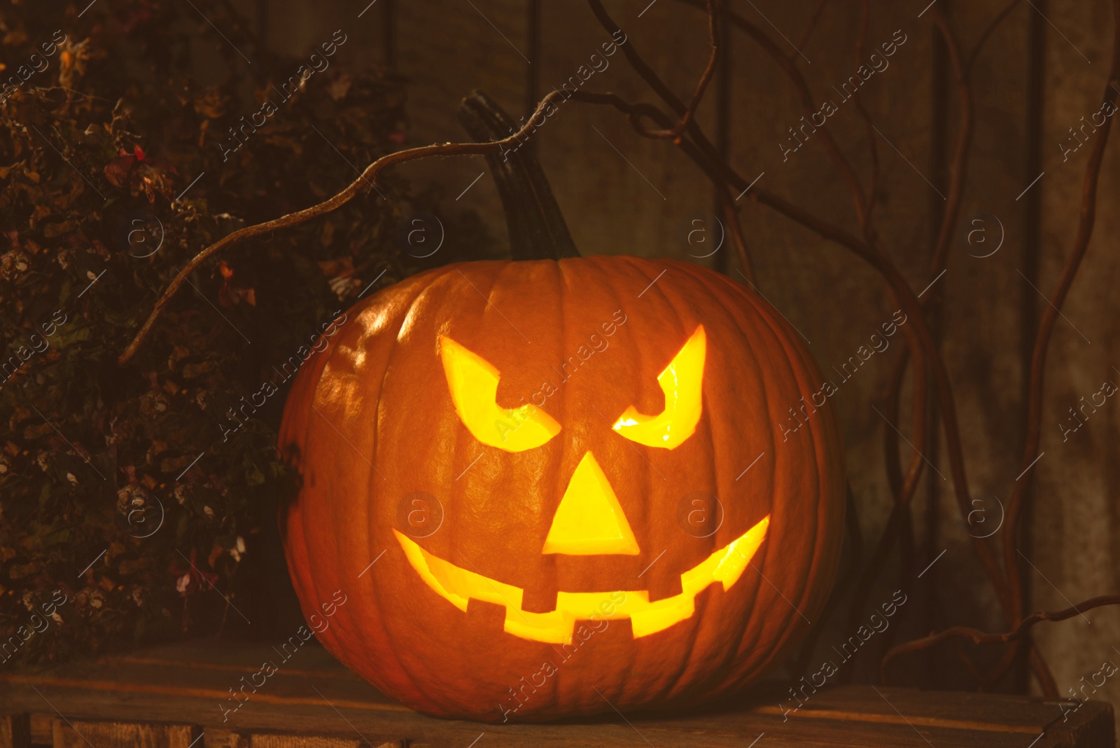 Photo of Scary jack o'lantern pumpkin on wooden bench in darkness. Halloween decor