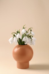 Beautiful snowdrops in vase on beige background