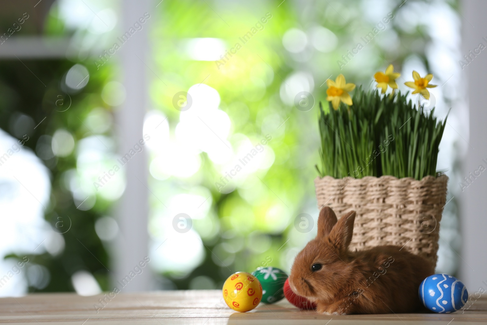 Photo of Adorable furry bunny, dyed Easter eggs and flowers on wooden table against blurred green background. Space for text