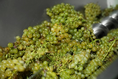 Photo of Fresh ripe grapes in crusher, closeup. Winemaking process