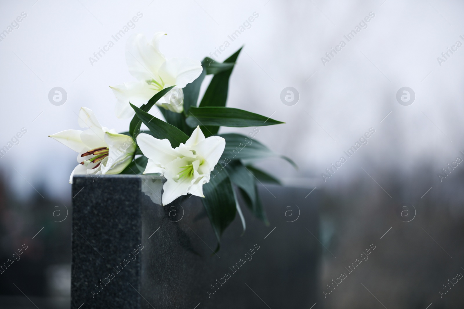 Photo of White lilies on black granite tombstone outdoors, space for text. Funeral ceremony