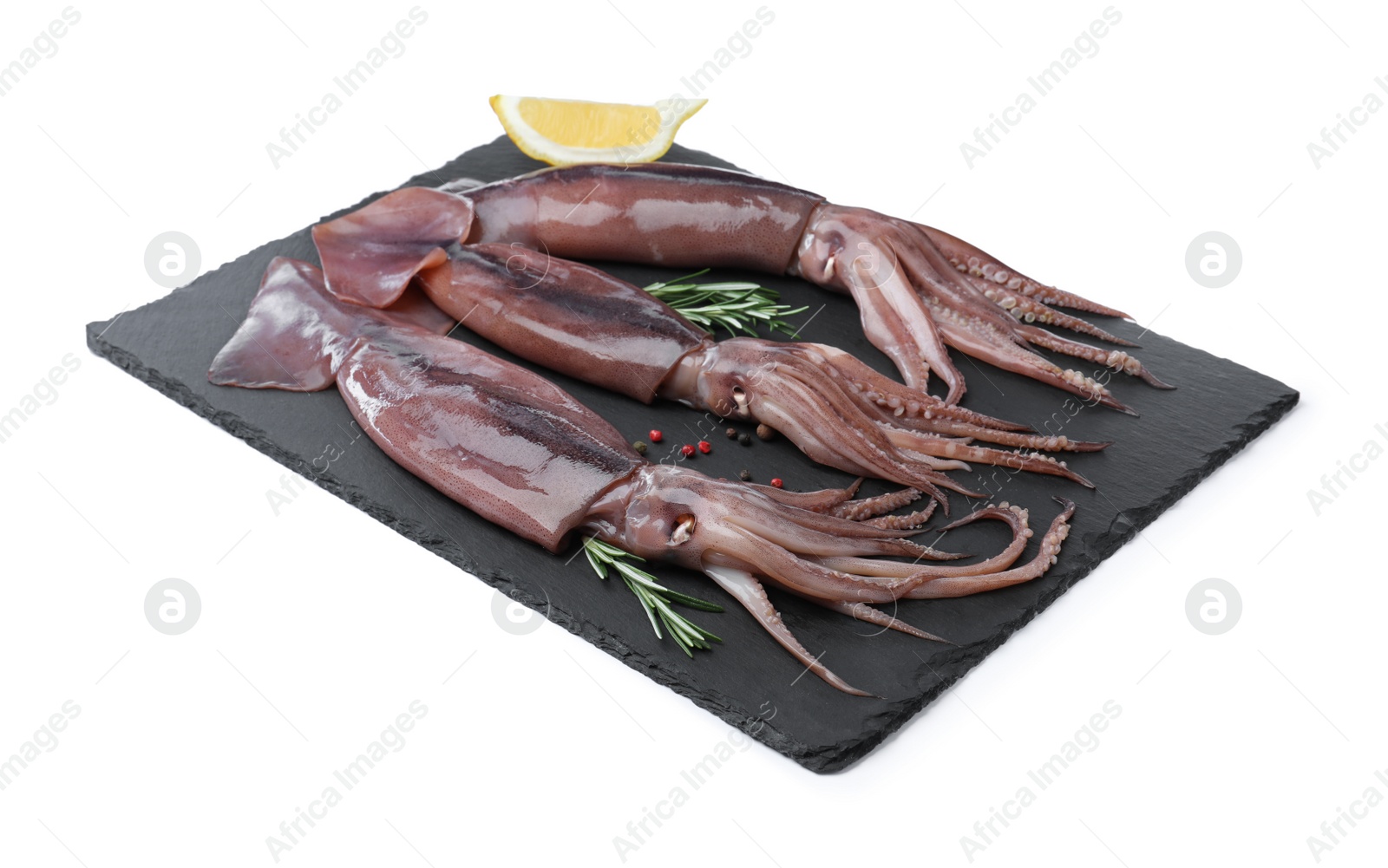 Photo of Fresh raw squids with lemon, rosemary and pepper on white background